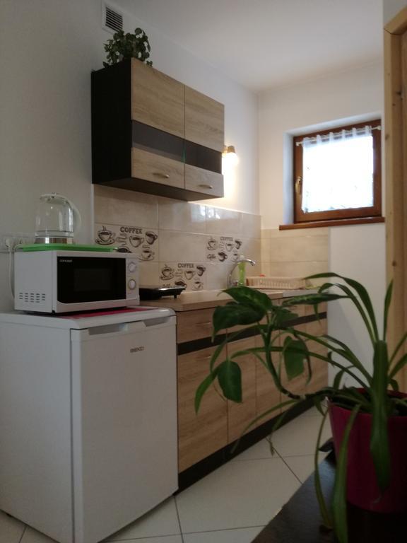 זקופאנה Apartamenty U Samkow מראה חיצוני תמונה